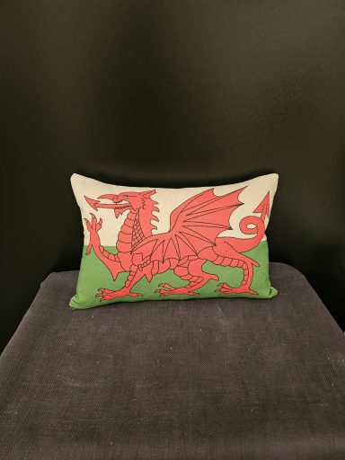 Red dragon on a green and white cushion, representing the Welsh flag.