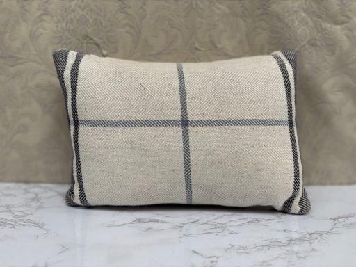 Cream cushion with blue check pattern against a textured beige background.